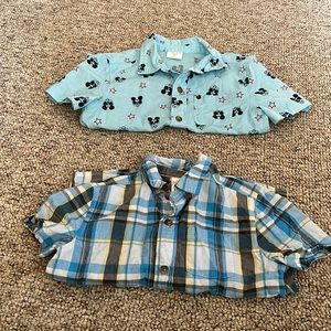 Short sleeve button down bundle. NWOT